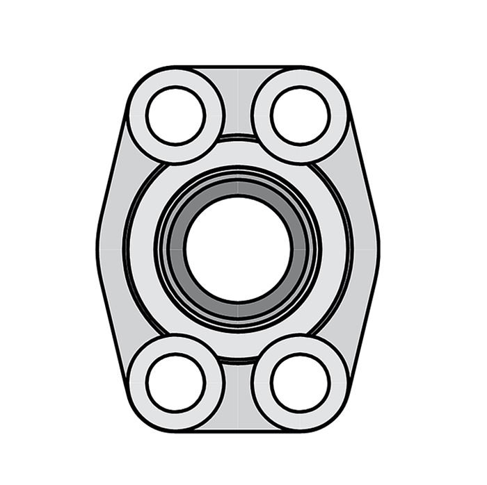 SAE 4 Blot Flange Female Flanges BSP